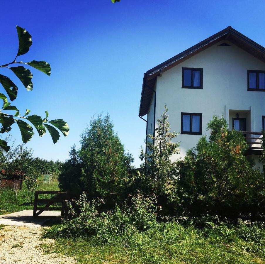 Bran White Clouds House And Chalet Exterior foto
