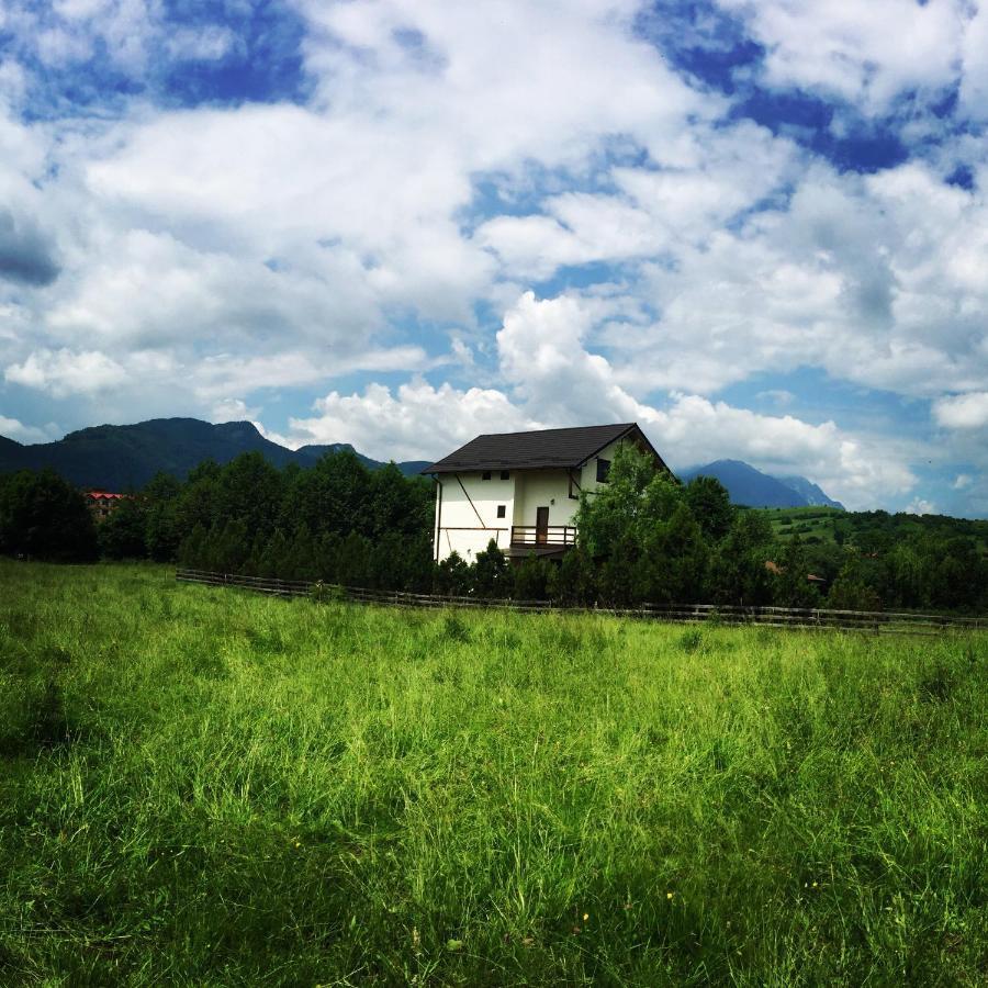 Bran White Clouds House And Chalet Exterior foto